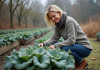 Légume résistant froid : quel est le plus adapté pour votre jardin ? Femme d'âge moyen inspectant le chou kale dans le jardin en automne